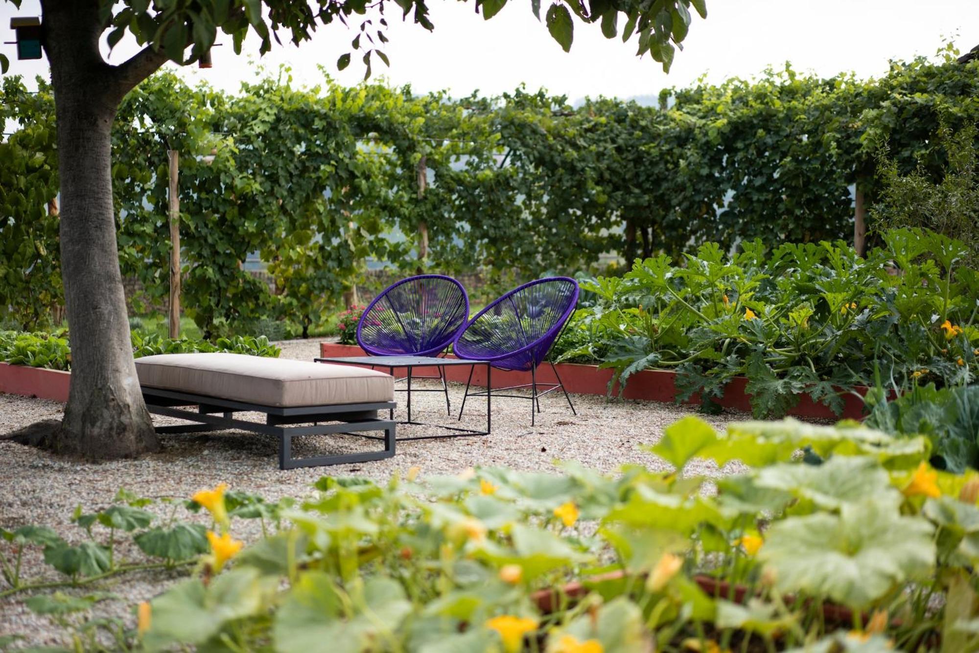 Гостевой дом Vigne Di Fagnano 1709 Eco Relais Санто-Стефано-Бельбо Экстерьер фото