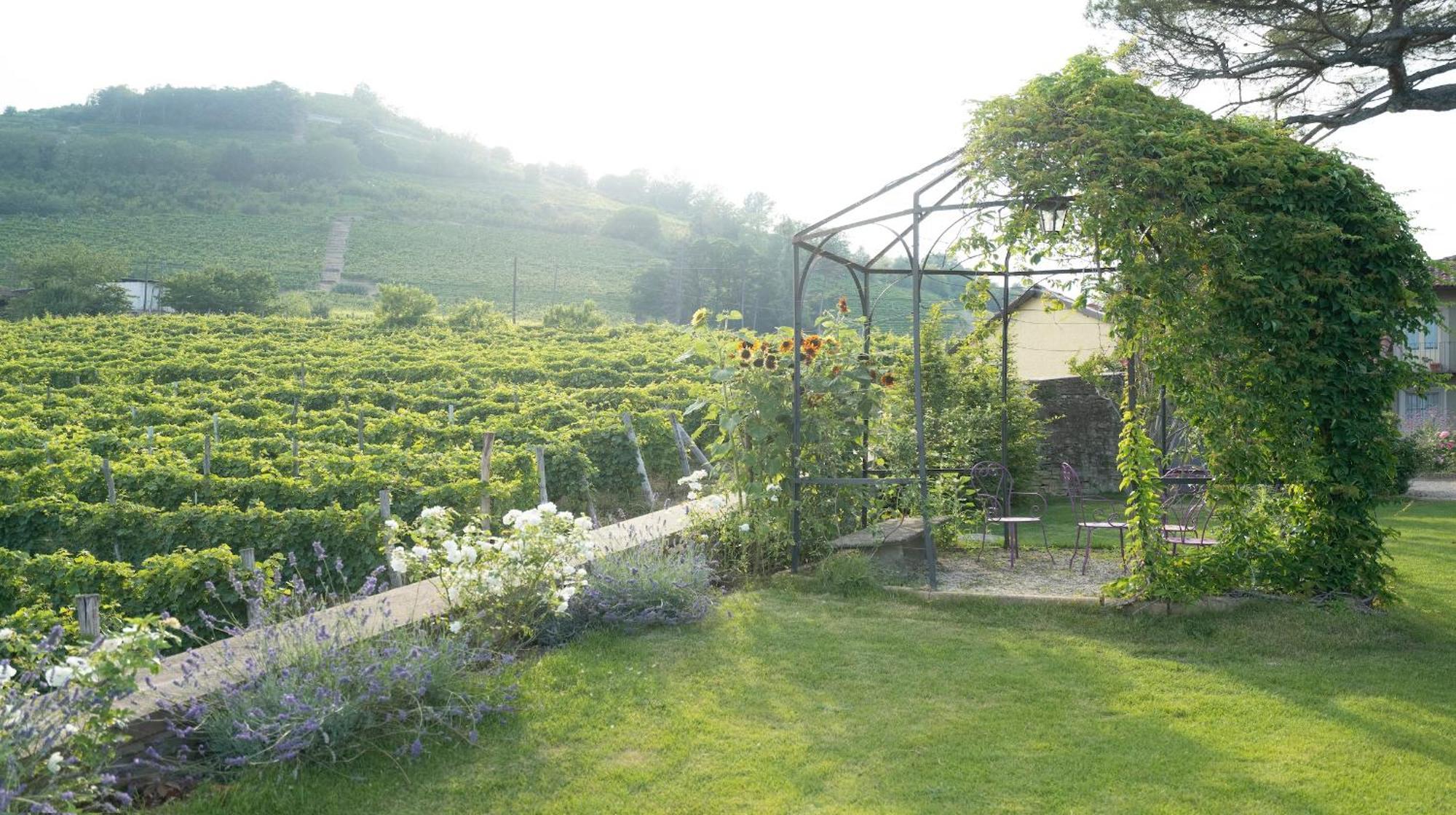 Гостевой дом Vigne Di Fagnano 1709 Eco Relais Санто-Стефано-Бельбо Экстерьер фото